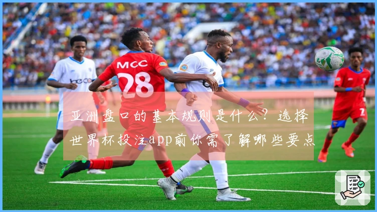 亚洲盘口的基本规则是什么？选择世界杯投注app前你需了解哪些要点？