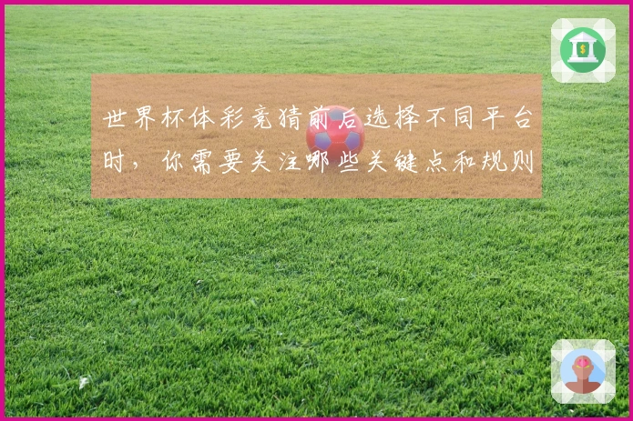 世界杯体彩竞猜前后选择不同平台时，你需要关注哪些关键点和规则？