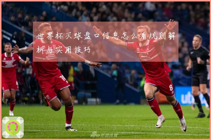 世界杯买球盘口信息怎么看规则解析与实用技巧