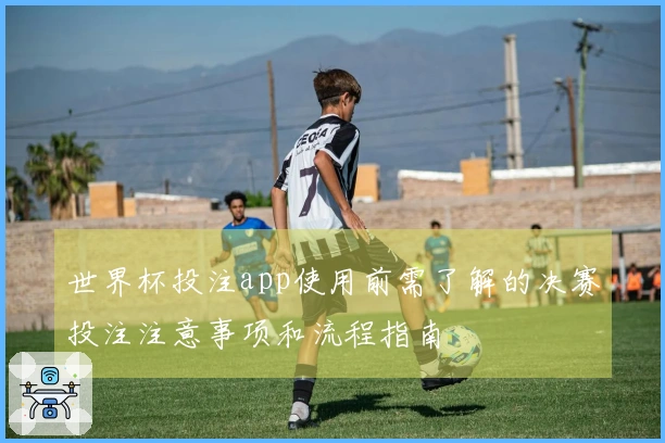 世界杯投注app使用前需了解的决赛投注注意事项和流程指南