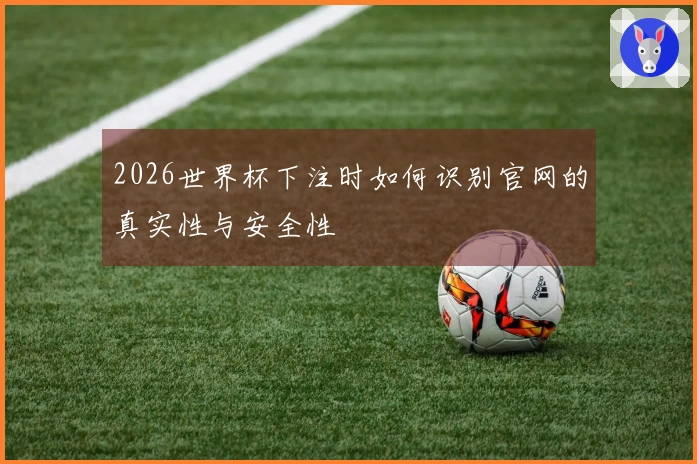 2026世界杯下注时如何识别官网的真实性与安全性