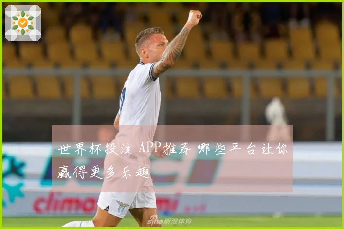 世界杯投注 APP推荐 哪些平台让你赢得更多乐趣