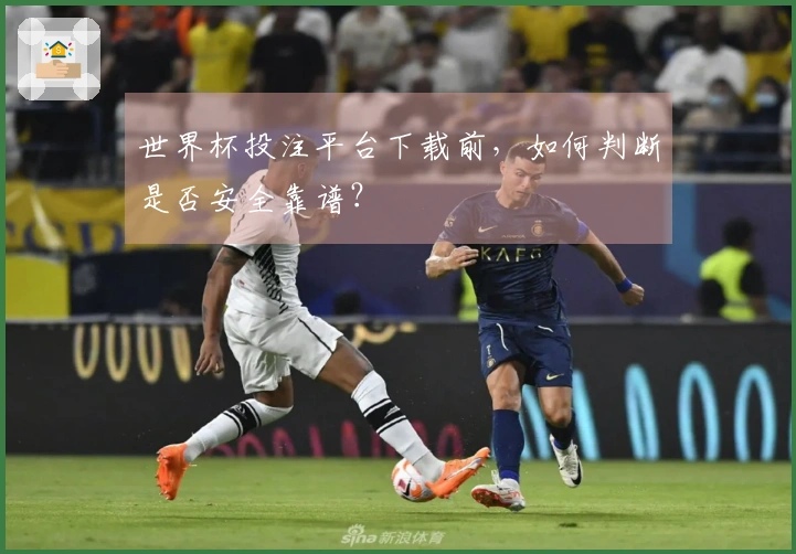 世界杯投注平台下载前，如何判断是否安全靠谱？
