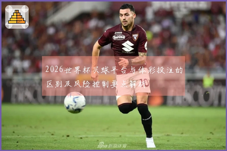 2026世界杯买球平台与体彩投注的区别及风险控制要点解析