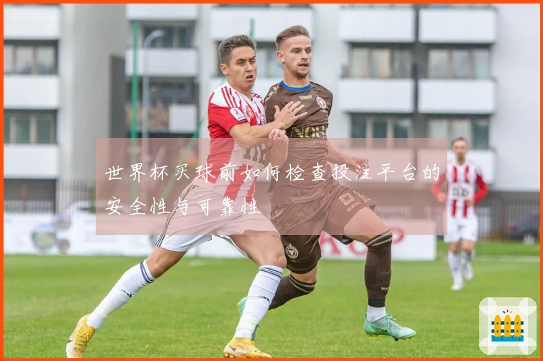 世界杯买球前如何检查投注平台的安全性与可靠性