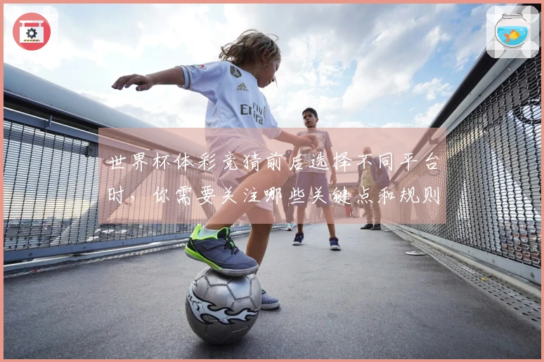 世界杯体彩竞猜前后选择不同平台时，你需要关注哪些关键点和规则？