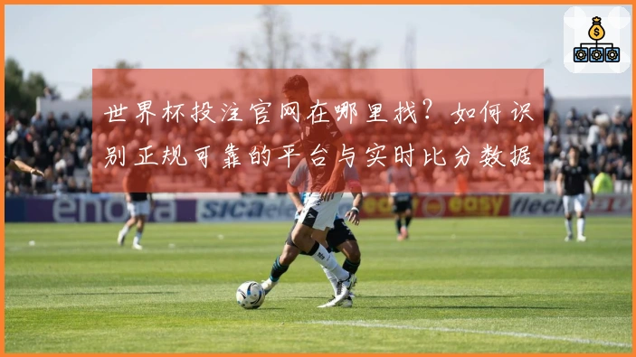 世界杯投注官网在哪里找？如何识别正规可靠的平台与实时比分数据