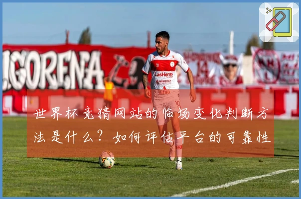 世界杯竞猜网站的临场变化判断方法是什么？如何评估平台的可靠性与风险？