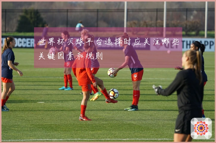 世界杯买球平台选择时应关注哪些关键因素和规则