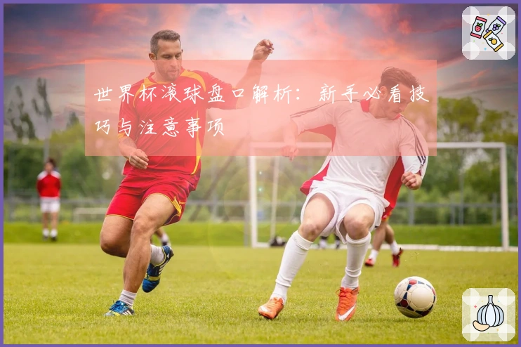 世界杯滚球盘口解析：新手必看技巧与注意事项