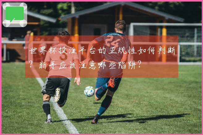 世界杯投注平台的正规性如何判断？新手应该注意哪些陷阱？