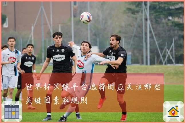 世界杯买球平台选择时应关注哪些关键因素和规则