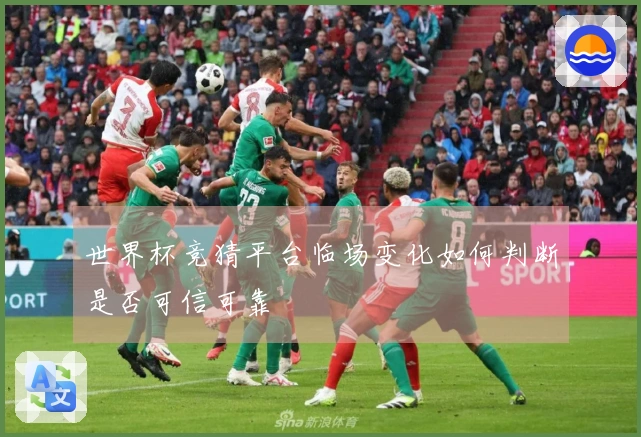 世界杯竞猜平台临场变化如何判断是否可信可靠