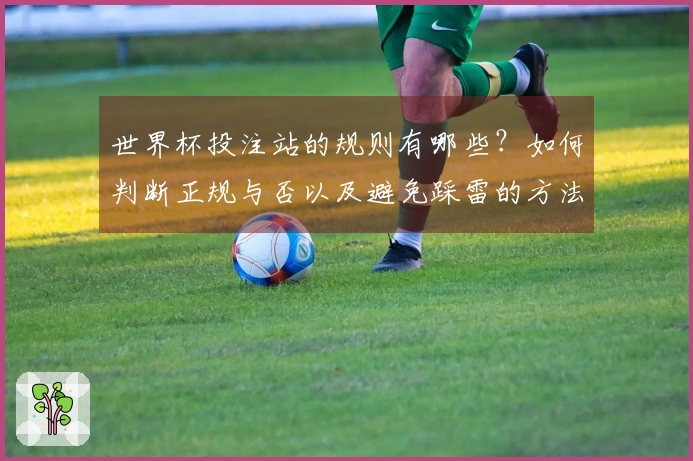 世界杯投注站的规则有哪些？如何判断正规与否以及避免踩雷的方法