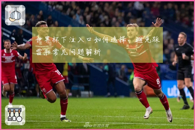 世界杯下注入口如何选择，避免踩雷和常见问题解析