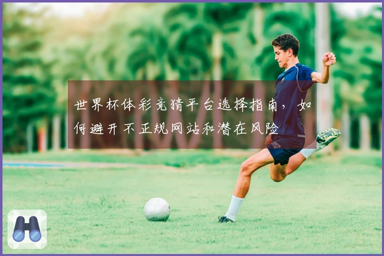 世界杯体彩竞猜平台选择指南，如何避开不正规网站和潜在风险