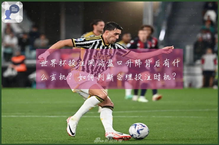 世界杯投注网站盘口升降背后有什么玄机？如何判断合理投注时机？
